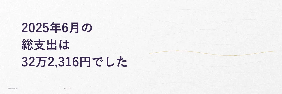 2025年6月の総支出32万2,316円を示す家計簿サマリーのイメージ図解